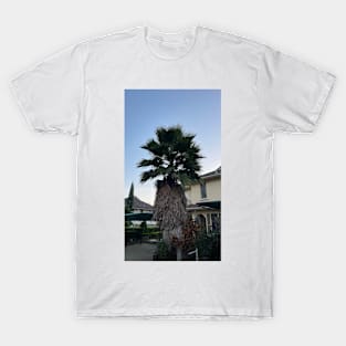 tree in kenya T-Shirt